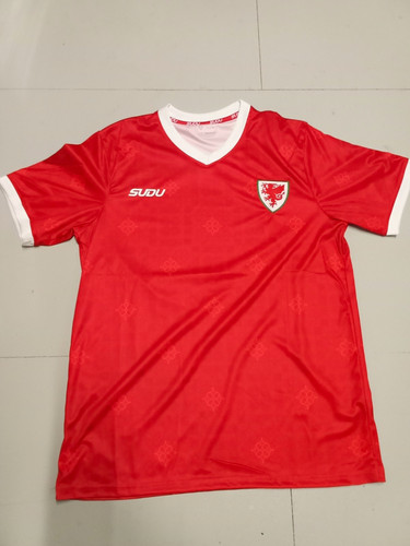 Wales national team home - wales,